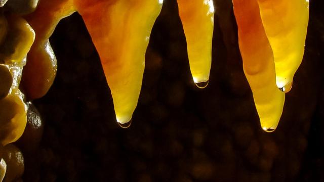 Jewel Cave
