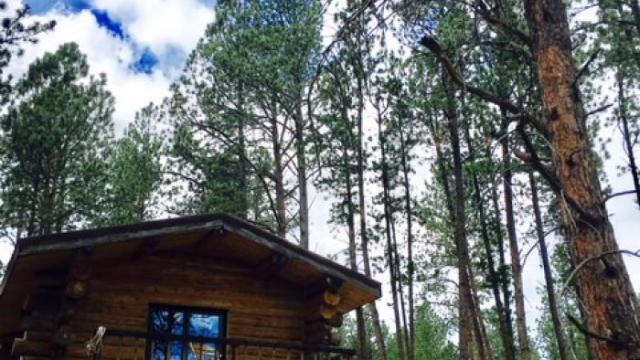 Echo Valley Park Cabin