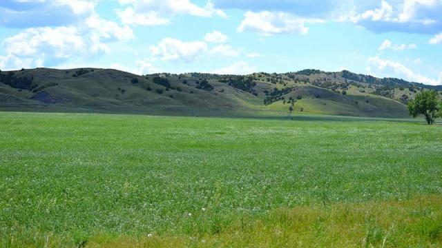 Home Ranch LLC