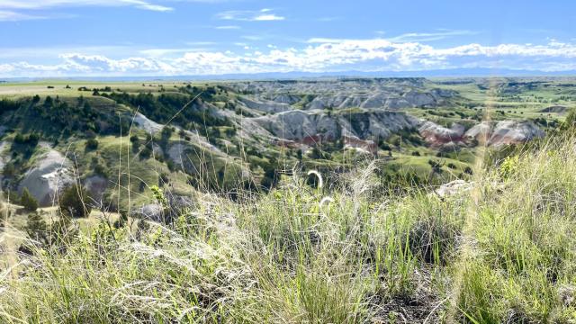 National Grasslands