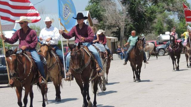 Horse in parade