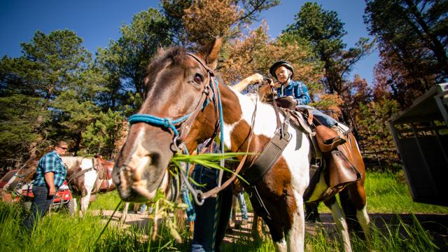 Horseback Riding