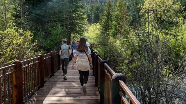 Spearfish Canyon