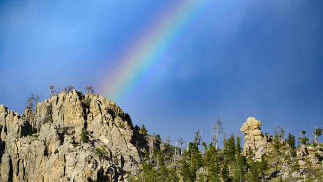 Black Hills Rainbow