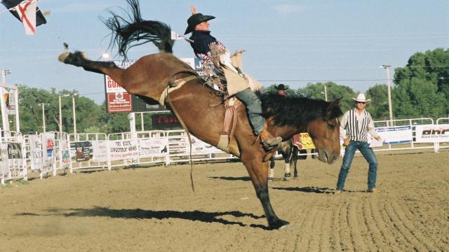 Belle Fourche Rodeo