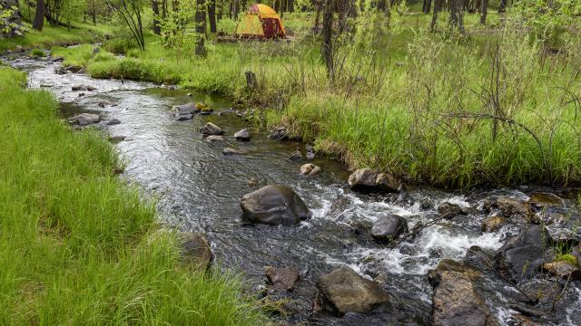 Black Hills Camping
