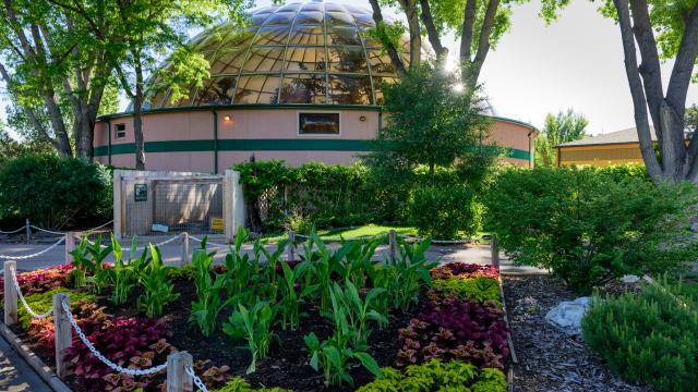 Reptile Gardens