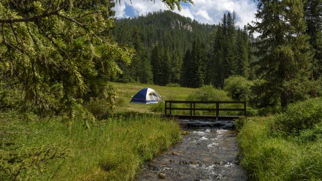 Black Hills Camping