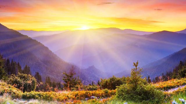 ezgifcom-webp-jpg5.jpg