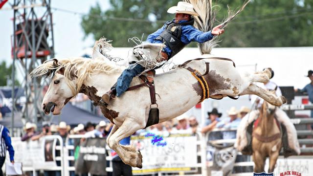Annual Black Hills Roundup