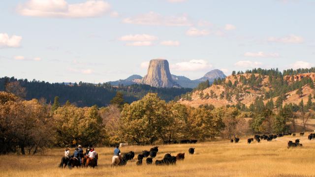 Devils Tower Country