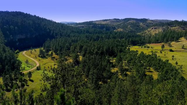 Black Hills Parks & Forests Association