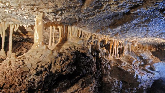 wonderlandcave00005.jpg