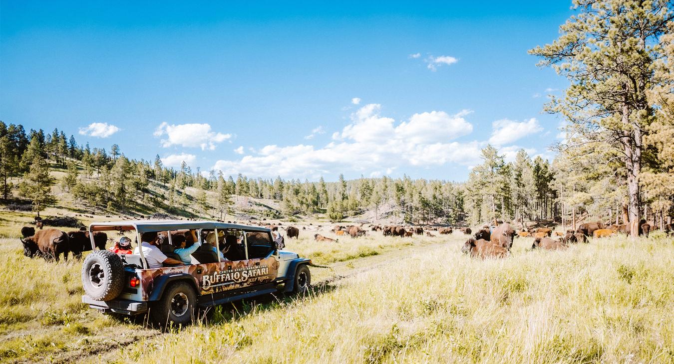 Custer State Park