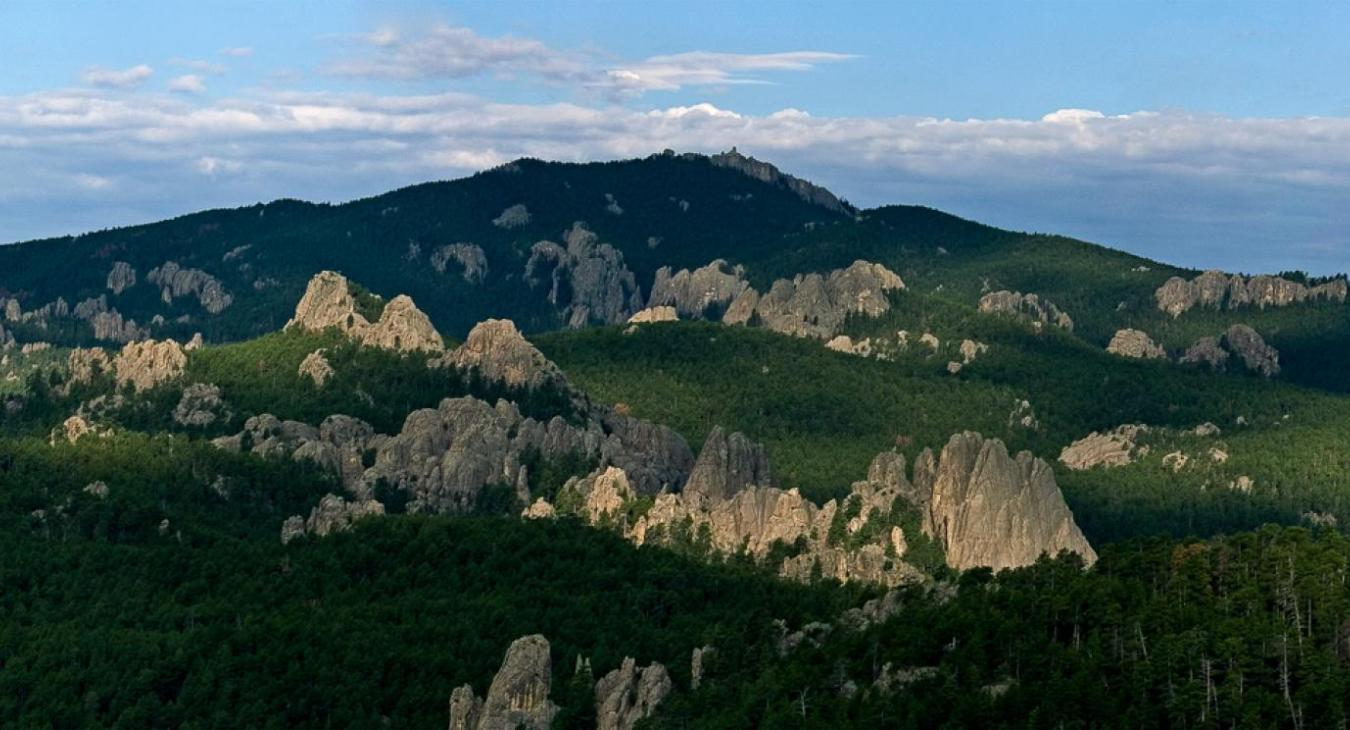 Black Hills National Forest