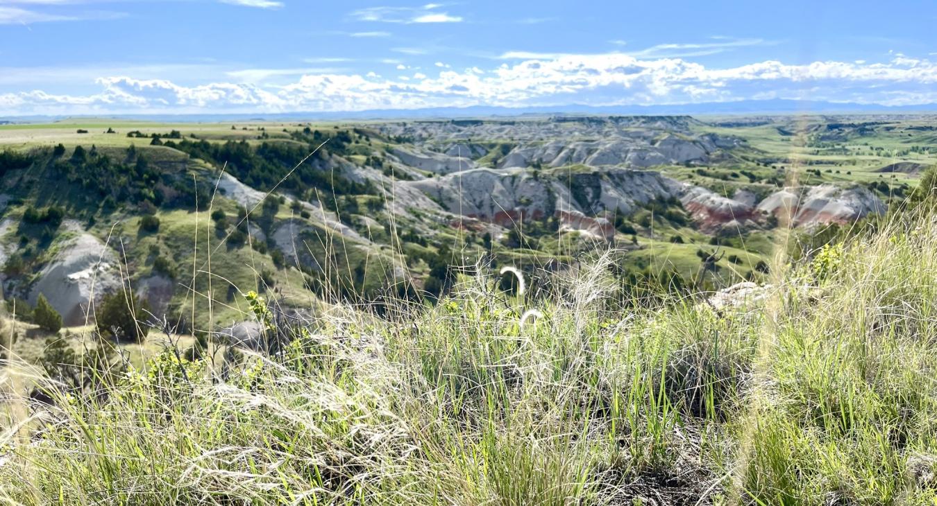 National Grasslands