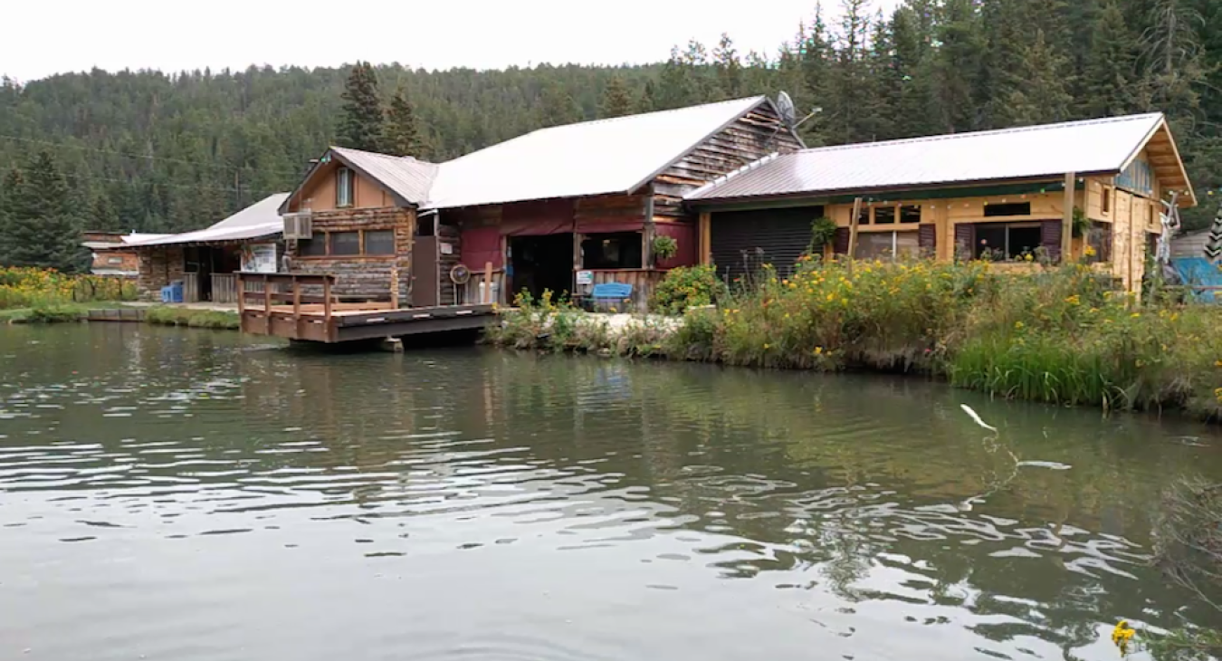 Fish 'N Fry Trout Pond
