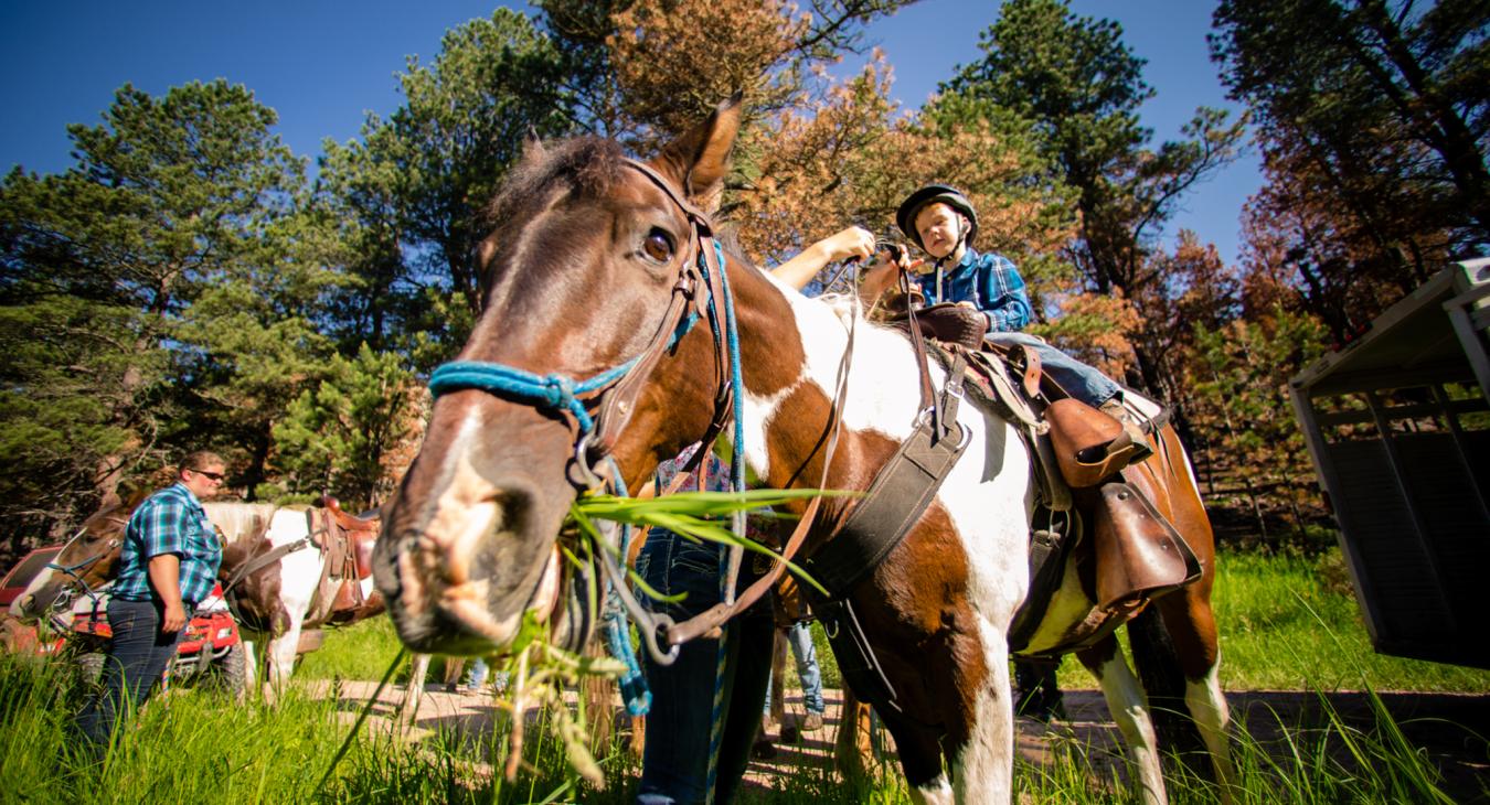 Horseback Riding
