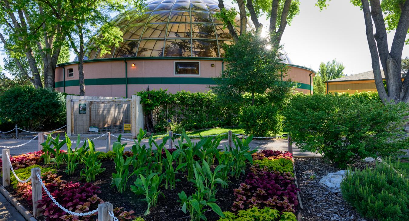 Reptile Gardens