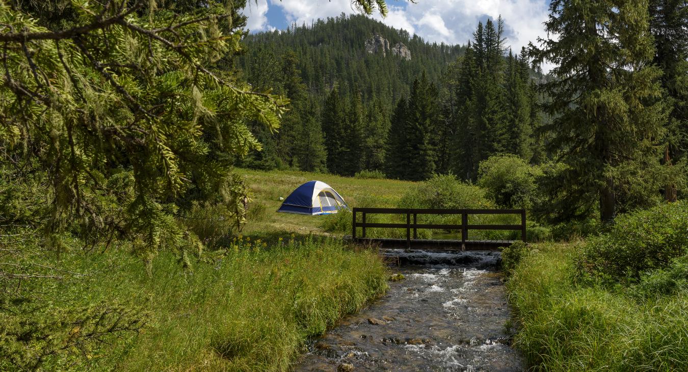 Black Hills Camping