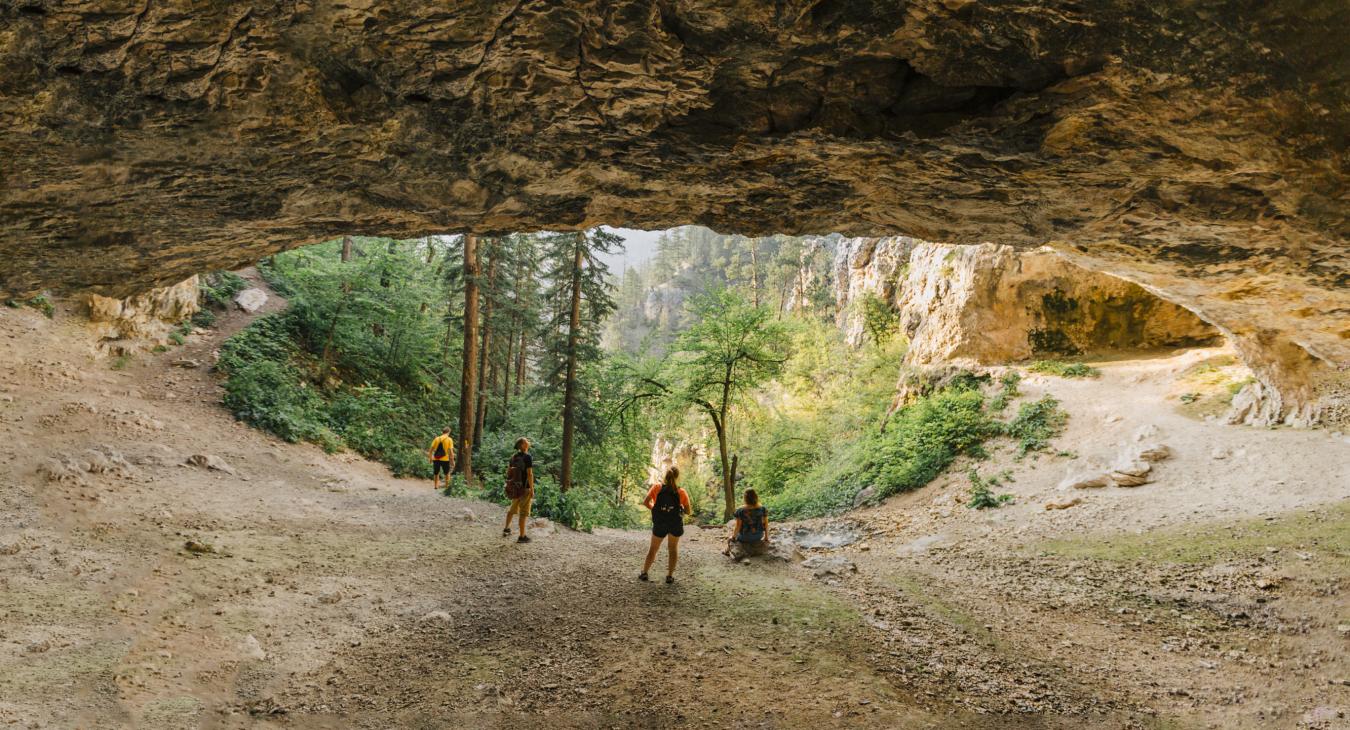 Spearfish