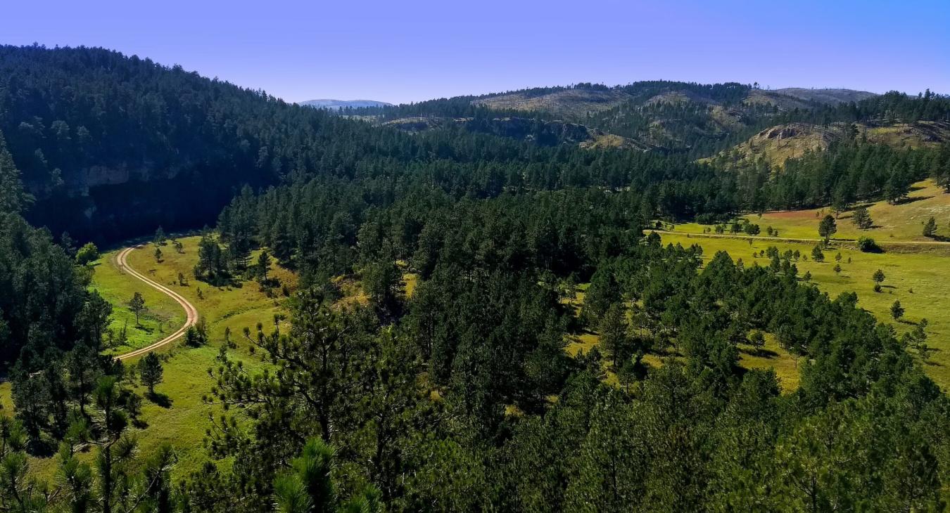 Black Hills Parks & Forests Association