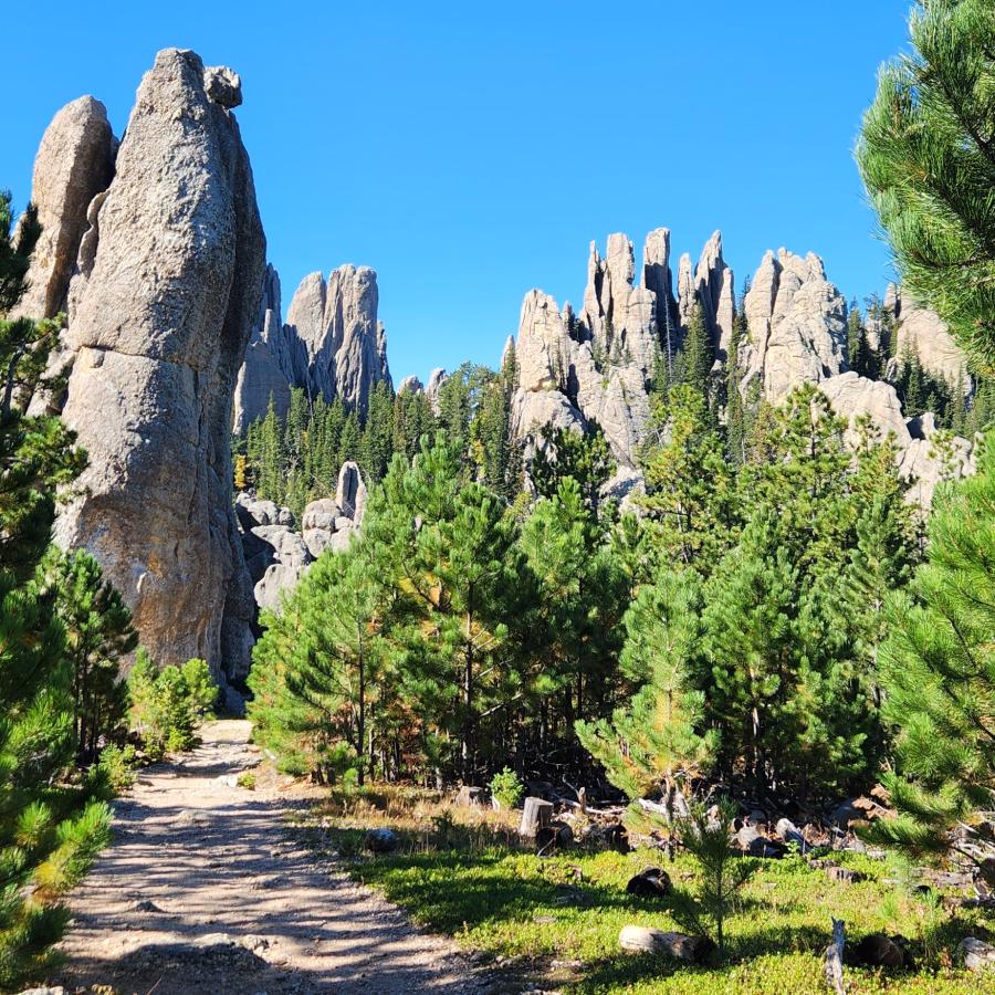 The beautiful Cathedral Spires.
